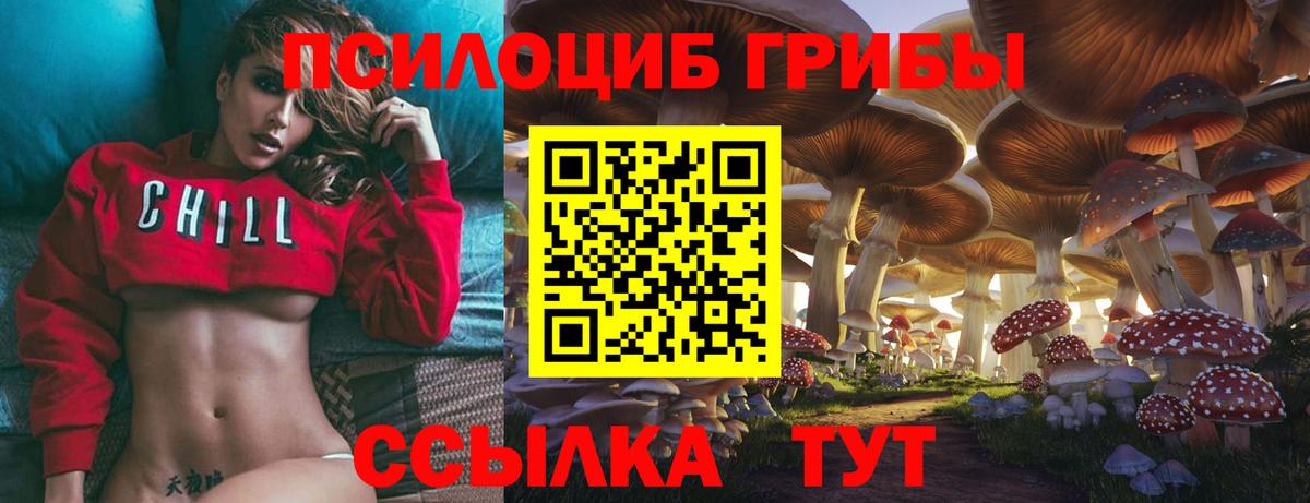 Псилоцибиновые грибы MAGIC MUSHROOMS  Артёмовский 