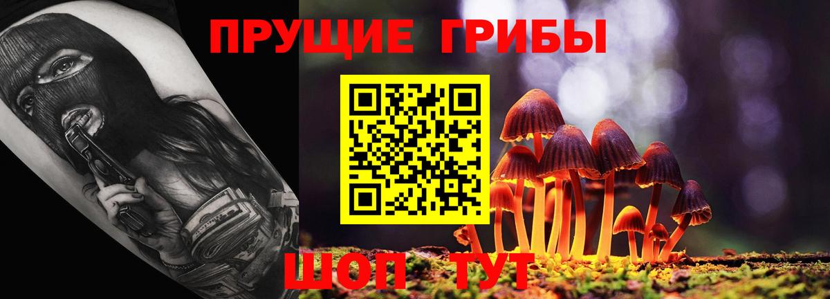 Галлюциногенные грибы прущие грибы Артёмовский
